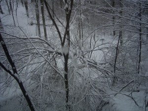Şapte judeţe sunt sub cod portocaliu de vreme rea, astăzi, până la ora 20.00